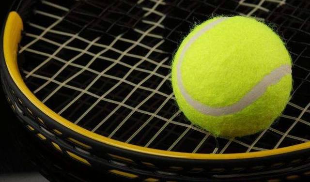 回归本源的 回归本源的